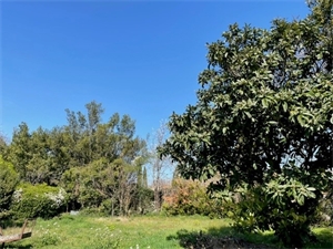 maison à la vente -   13300  SALON DE PROVENCE, surface 90 m2 vente maison - UBI450366317